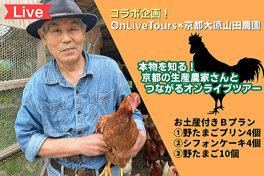 ８月開催 コラボ企画 お土産付き 野たまごプリン シフォンケーキ 野たまご付き 本物を知る 京都大原の生産農家さんとつながるオンライブツアー On Live Tours On Live いつでもどこでも